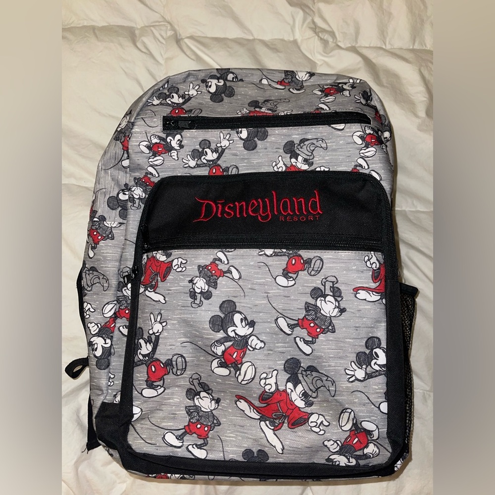 Larger Disney parks Disneyland backpack. USED! READ ALL
